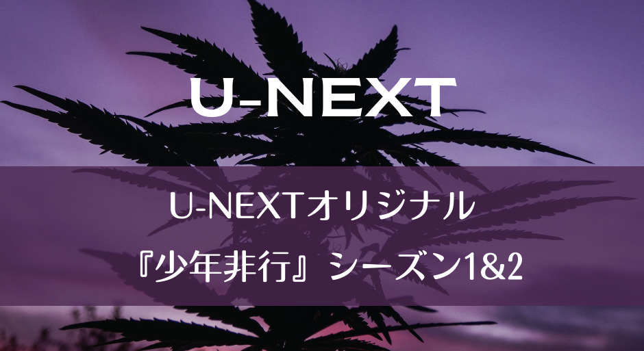 U-NEXT｜U-NEXTオリジナル『少年非行』シーズン1&2